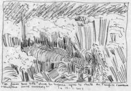 AGATHE LEMAIRE THALAZAC