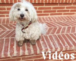 AGATHE LEMAIRE THALAZAC