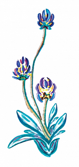 AGATHE LEMAIRE THALAZAC