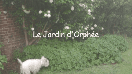 AGATHE LEMAIRE THALAZAC