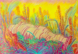 AGATHE LEMAIRE THALAZAC